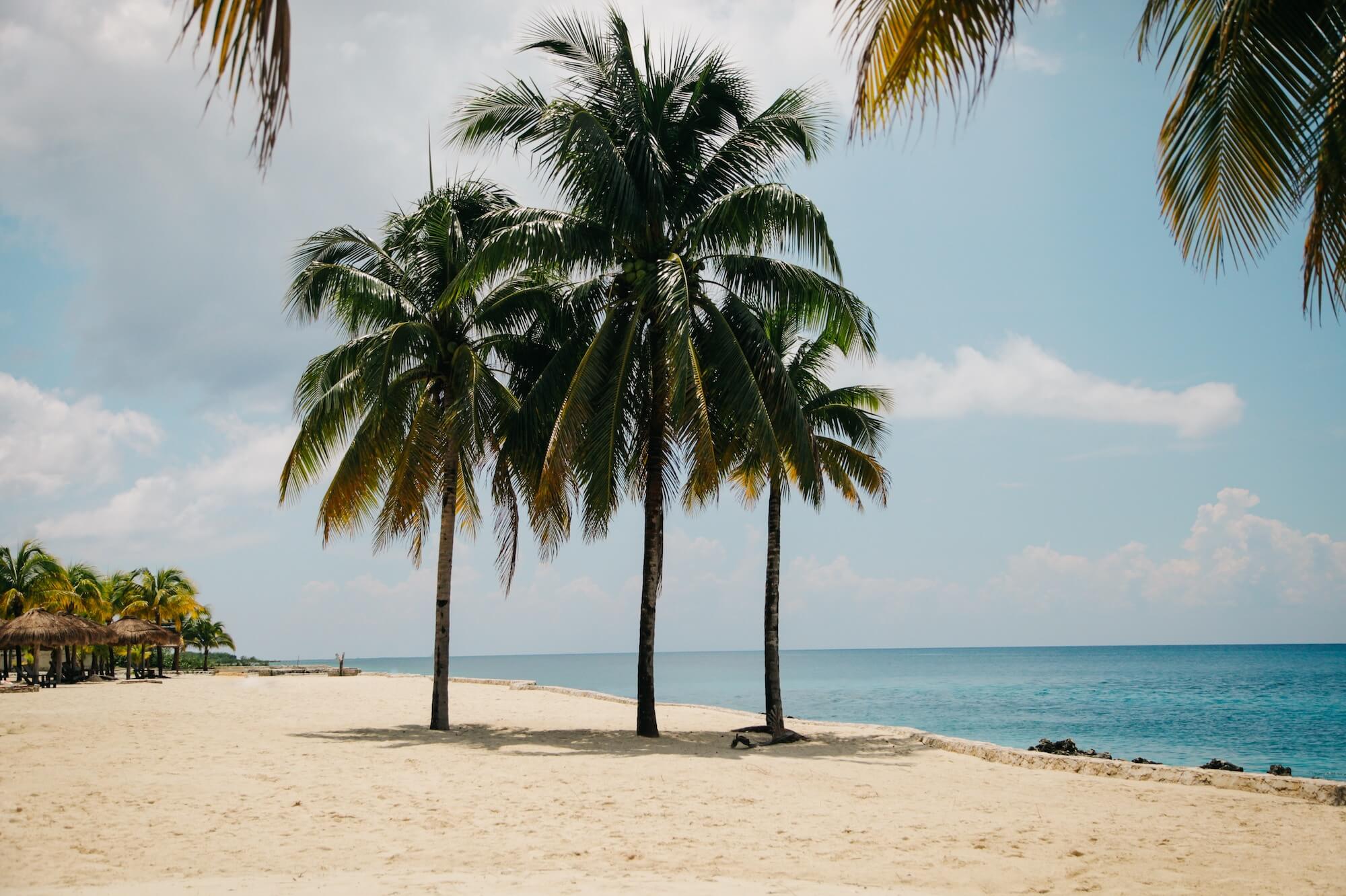 Post with Slideshow 5 clem onojeghuo 111588 unsplash